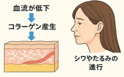 【美肌になるために必要なのは“血圧測定”？】五行ドクターが導く新しいスキンケア習慣