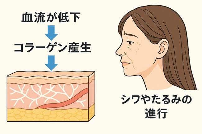 【美肌になるために必要なのは“血圧測定”？】五行ドクターが導く新しいスキンケア習慣